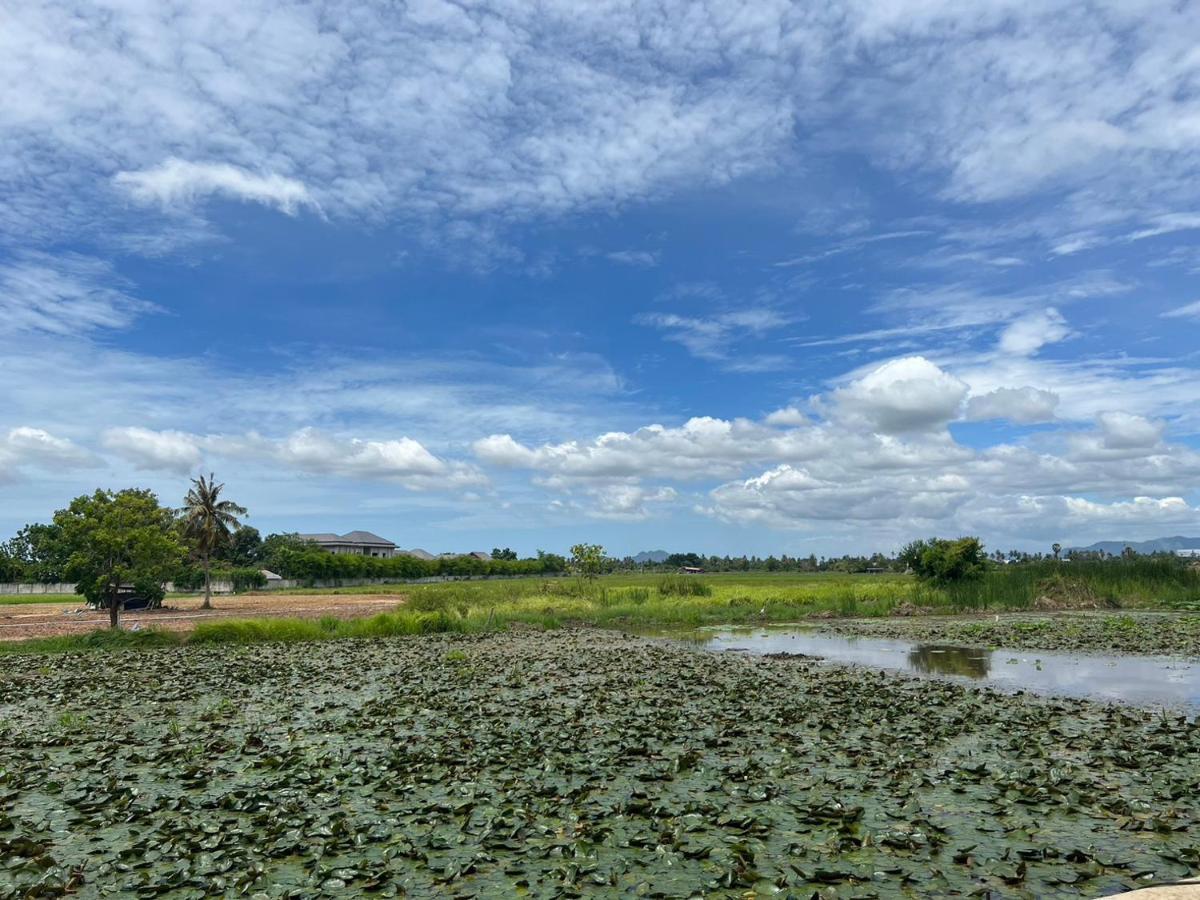 On Green Resort Ban Huai Sua Bagian luar foto