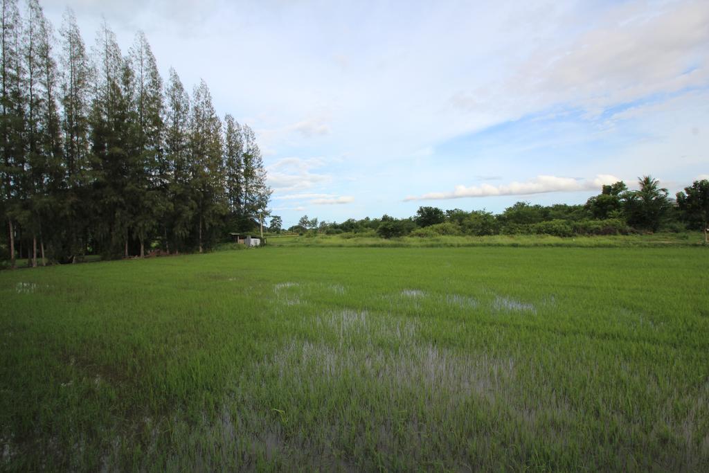 On Green Resort Ban Huai Sua Bagian luar foto