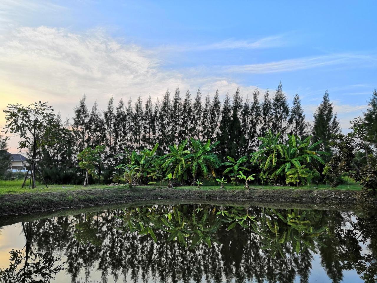 On Green Resort Ban Huai Sua Bagian luar foto